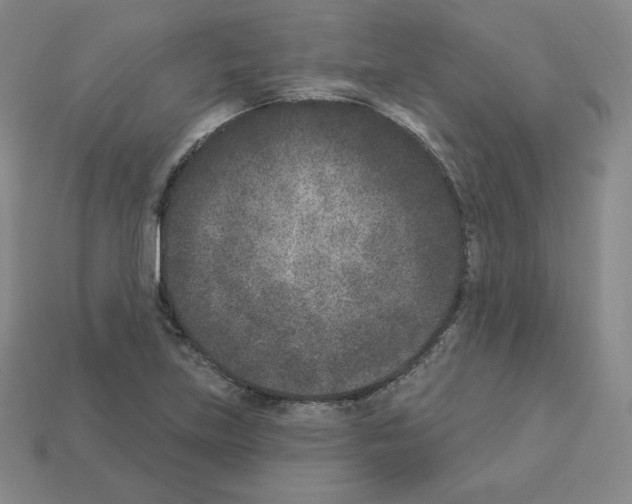X0000112861219200910021305