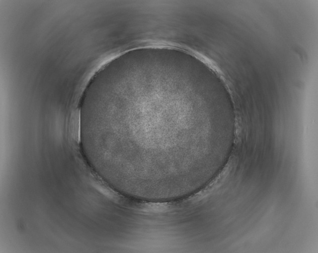 X0000112861223200910021305