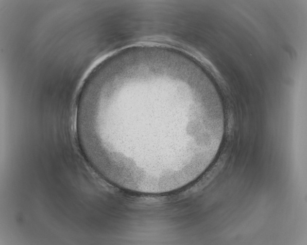 X0000112861224200910021305
