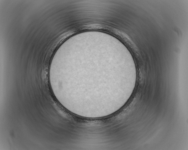 X0000112861225200910021305