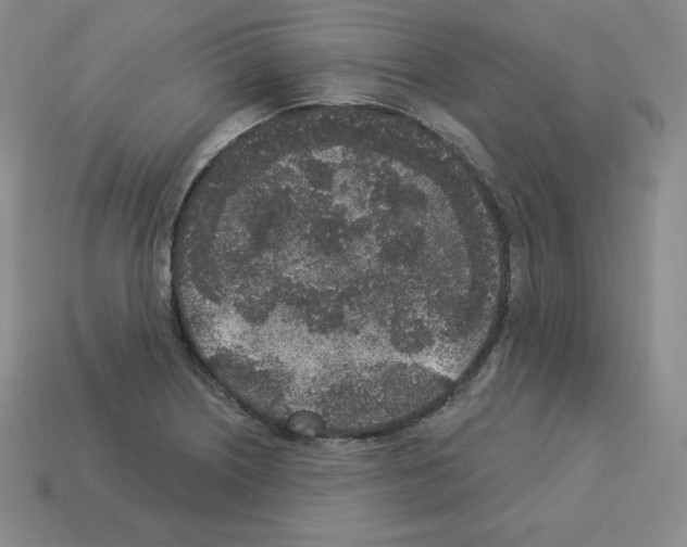 X0000112861226200910021305