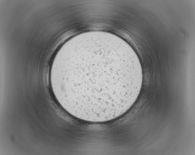 X0000112861227200910021305