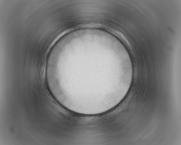 X0000112861228200910021305