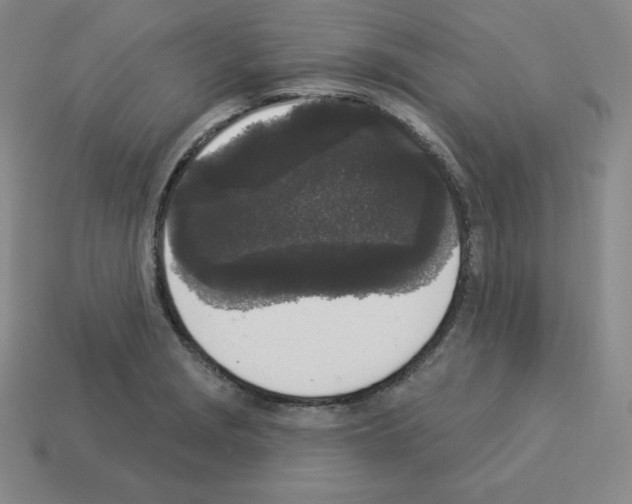 X0000112861229200910021305