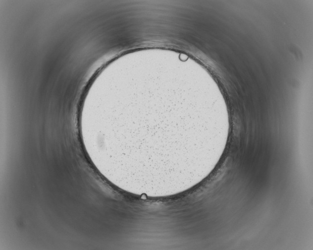 X0000112861230200910021305