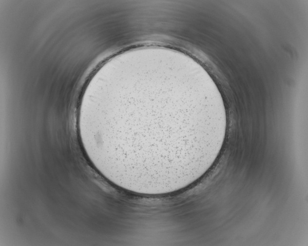 X0000112861232200910021305