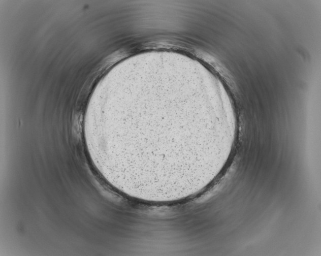 X0000112861233200910021305