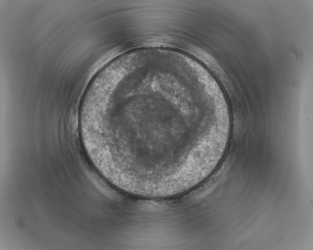 X0000112861234200910021305