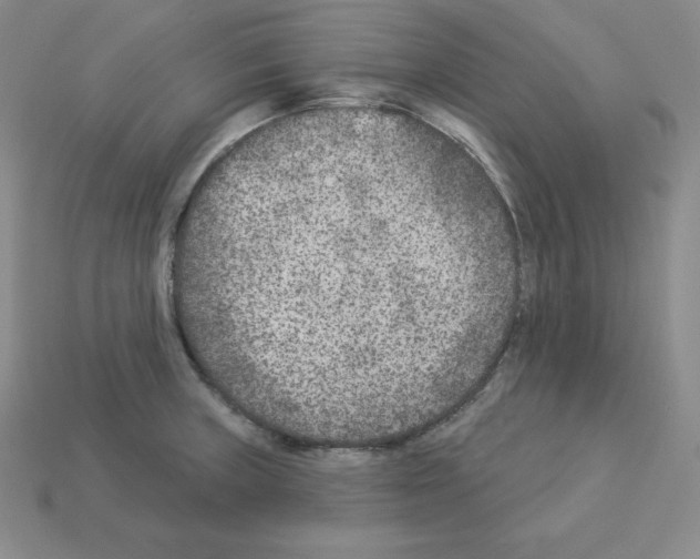X0000112861235200910021305