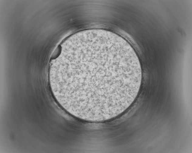 X0000112861236200910021305