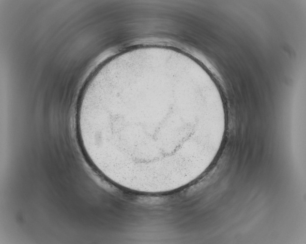 X0000112861237200910021305