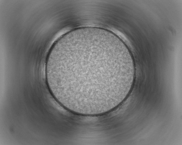X0000112861238200910021305
