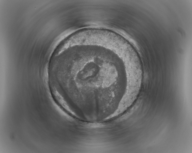 X0000112861239200910021305