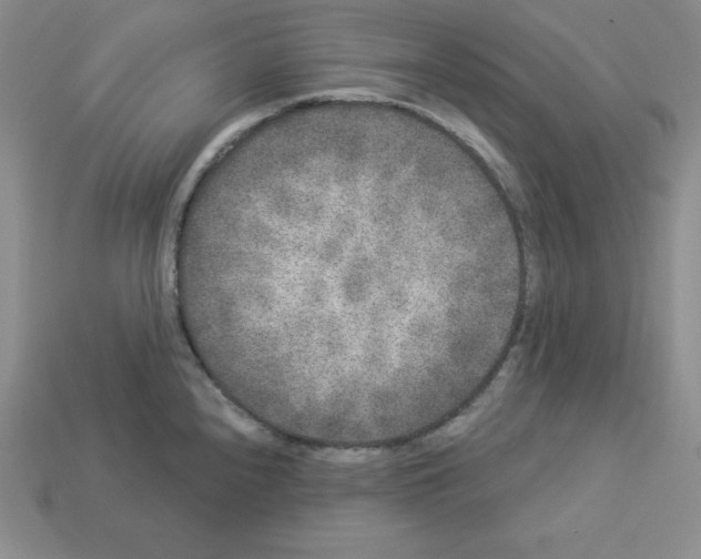 X0000112861240200910021305