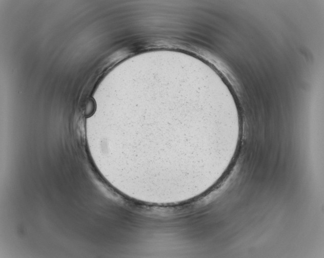 X0000112861241200910021305