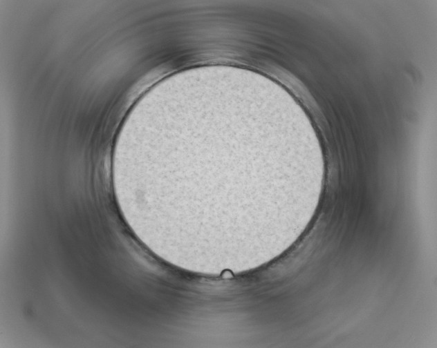 X0000112861242200910021305