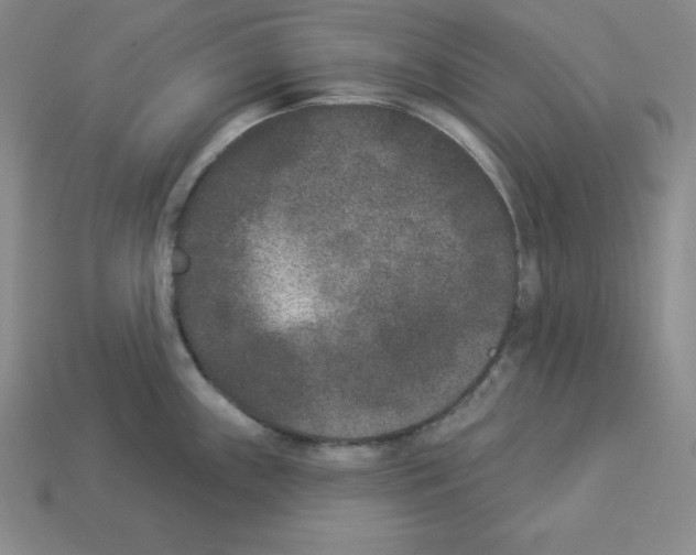 X0000112861243200910021305