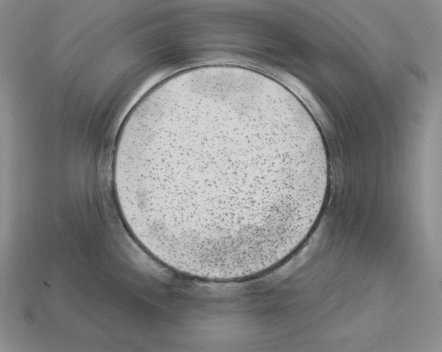 X0000112861244200910021305