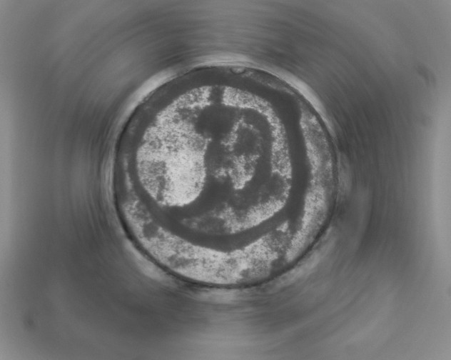 X0000112861245200910021305