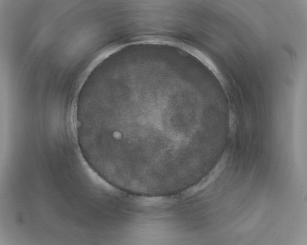 X0000112861247200910021305