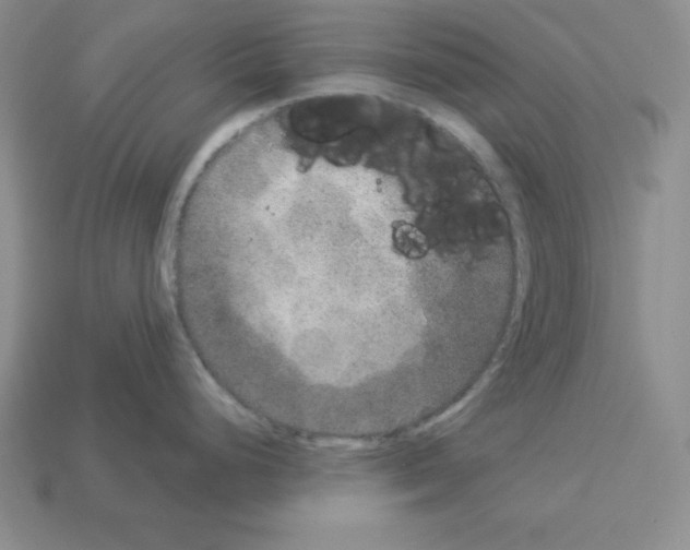 X0000112861248200910021305