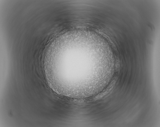 X0000112861249200910021304