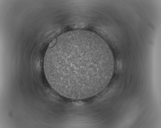 X0000112861250200910021304