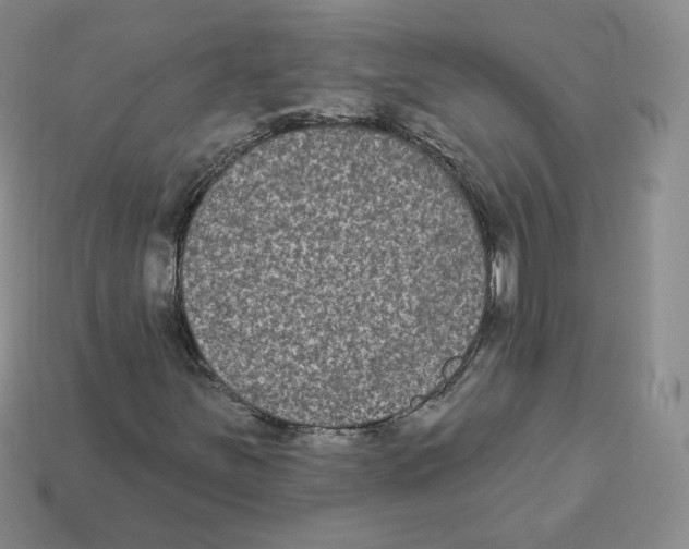 X0000112861251200910021304