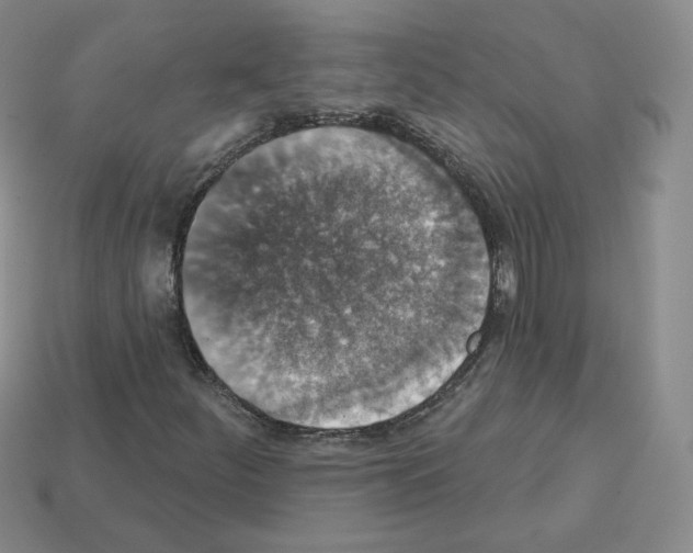 X0000112861252200910021304
