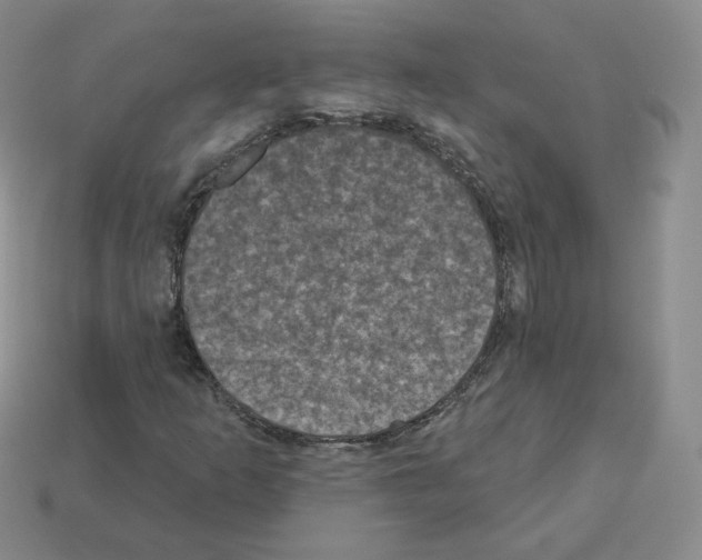X0000112861253200910021304