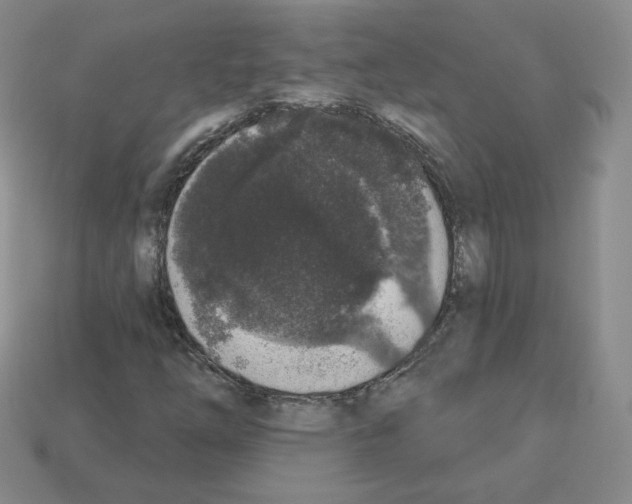 X0000112861254200910021304
