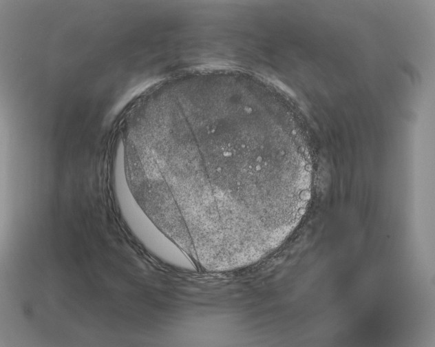 X0000112861255200910021304