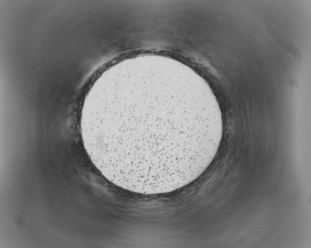 X0000112861256200910021304