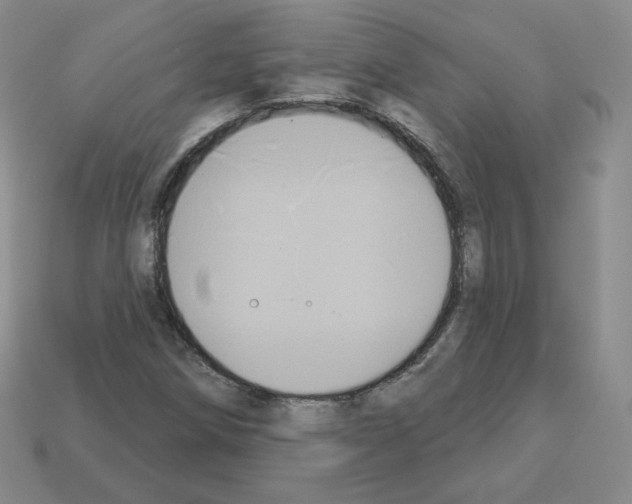 X0000112861258200910021304