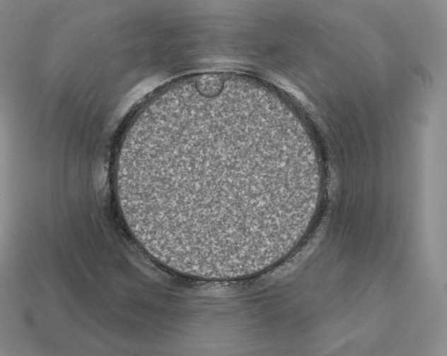 X0000112861259200910021304