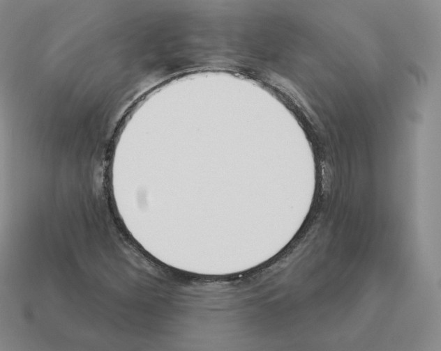 X0000112861260200910021304