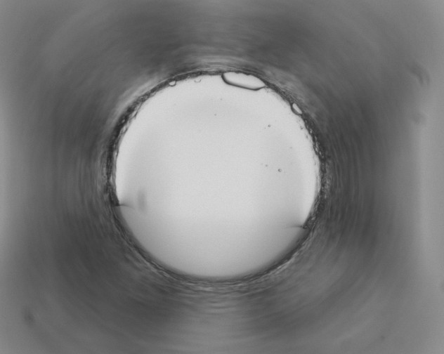 X0000112861261200910021304