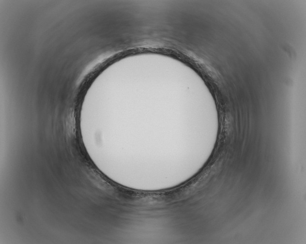 X0000112861262200910021304