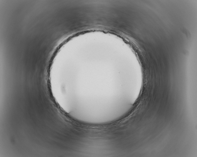 X0000112861264200910021304