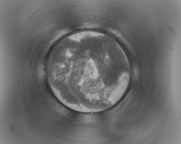 X0000112861266200910021304