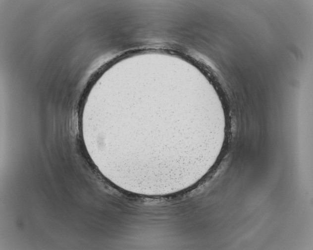 X0000112861267200910021304