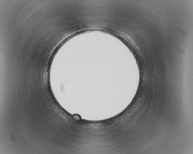 X0000112861268200910021304