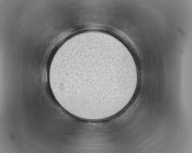 X0000112861269200910021304