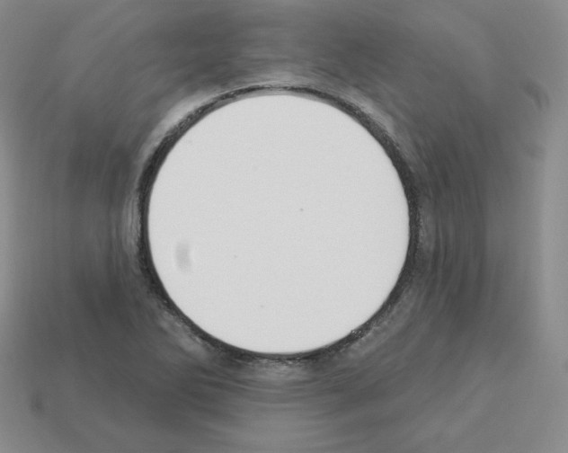 X0000112861270200910021304