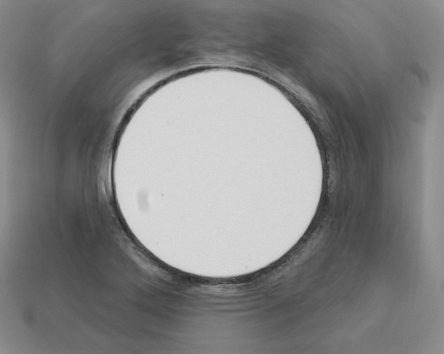 X0000112861272200910021304