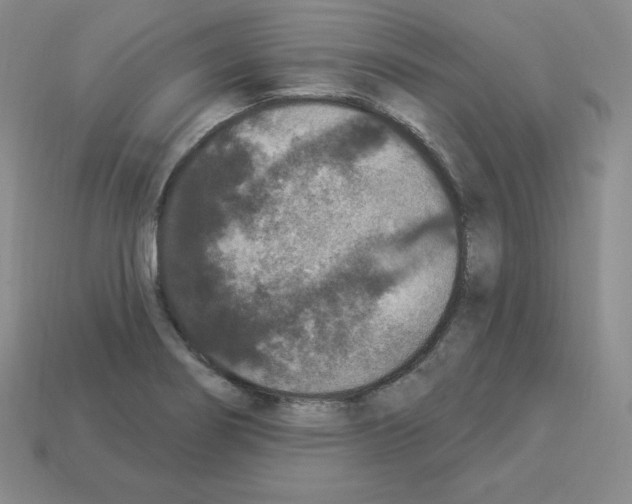 X0000112861274200910021304