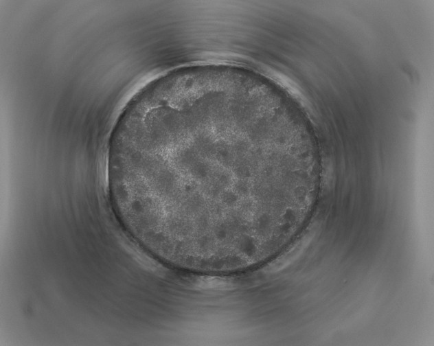 X0000112861275200910021304
