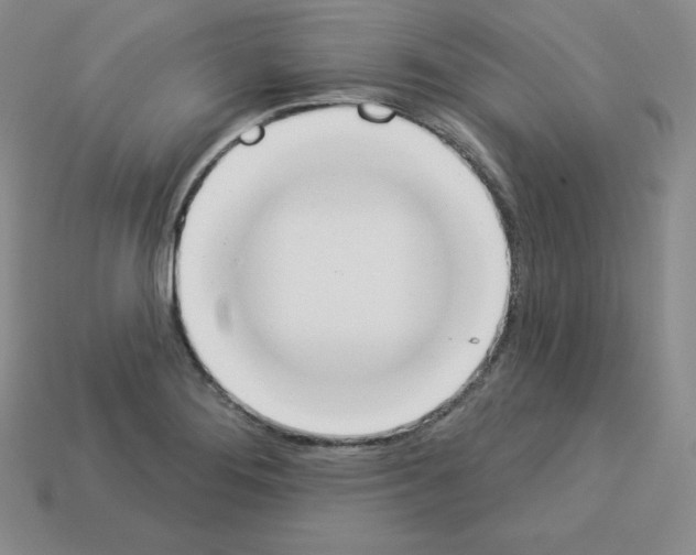 X0000112861276200910021304