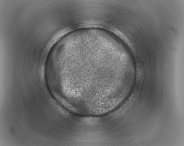 X0000112861277200910021304