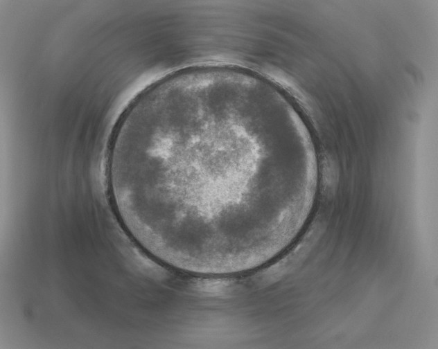 X0000112861278200910021304